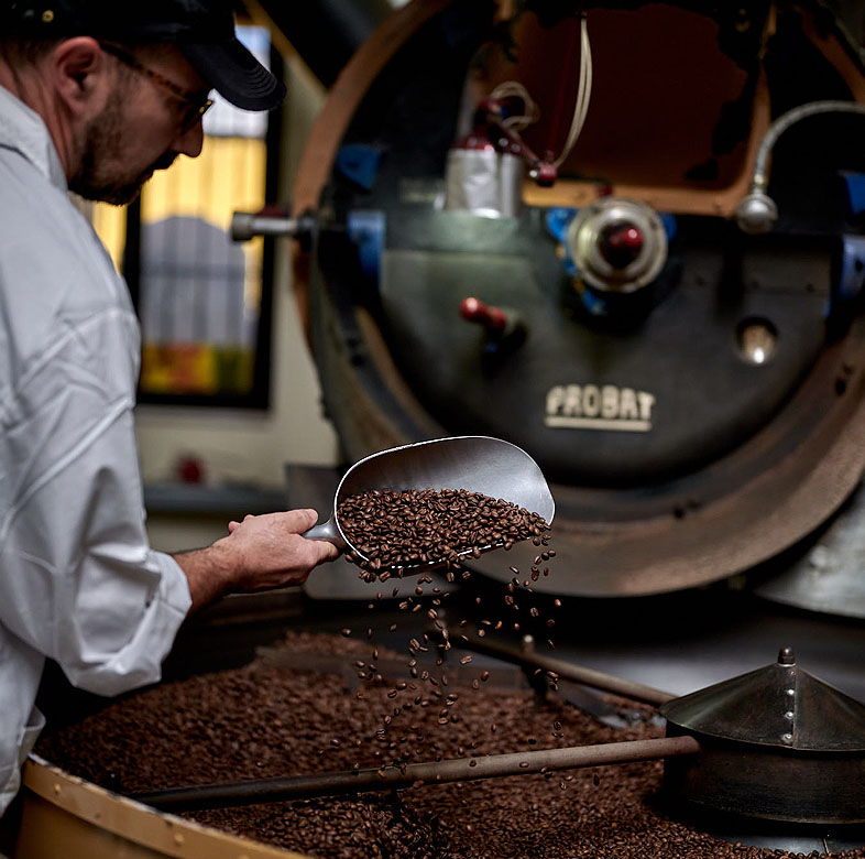 fase di raffreddamento del chicco di caffè tostato